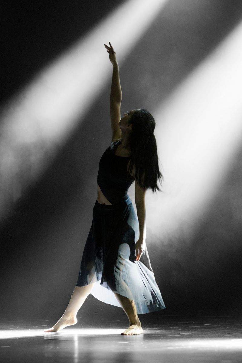 Tanzatelier Wiener Harmonie GmbH 15