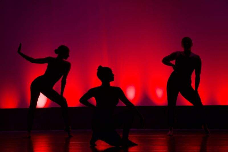 Tanzatelier Wiener Harmonie GmbH 4